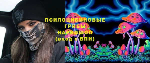 гидра Алзамай