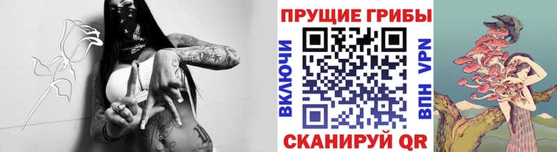 гидра маркетплейс  Сосновка  Псилоцибиновые грибы мицелий 